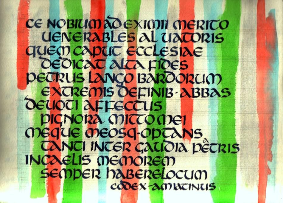 Plack Pilot Parellel pen on Arches over acrylic wash