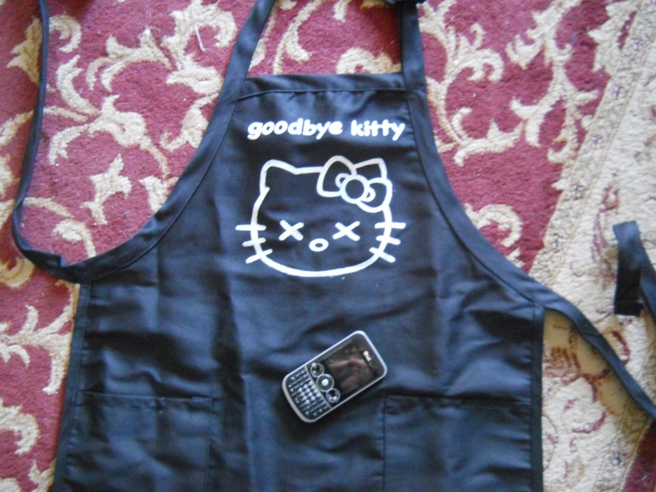 12,13,12 gbye kitty.JPG