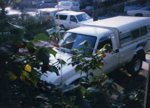 White truck and Lynn's Mustang 1997