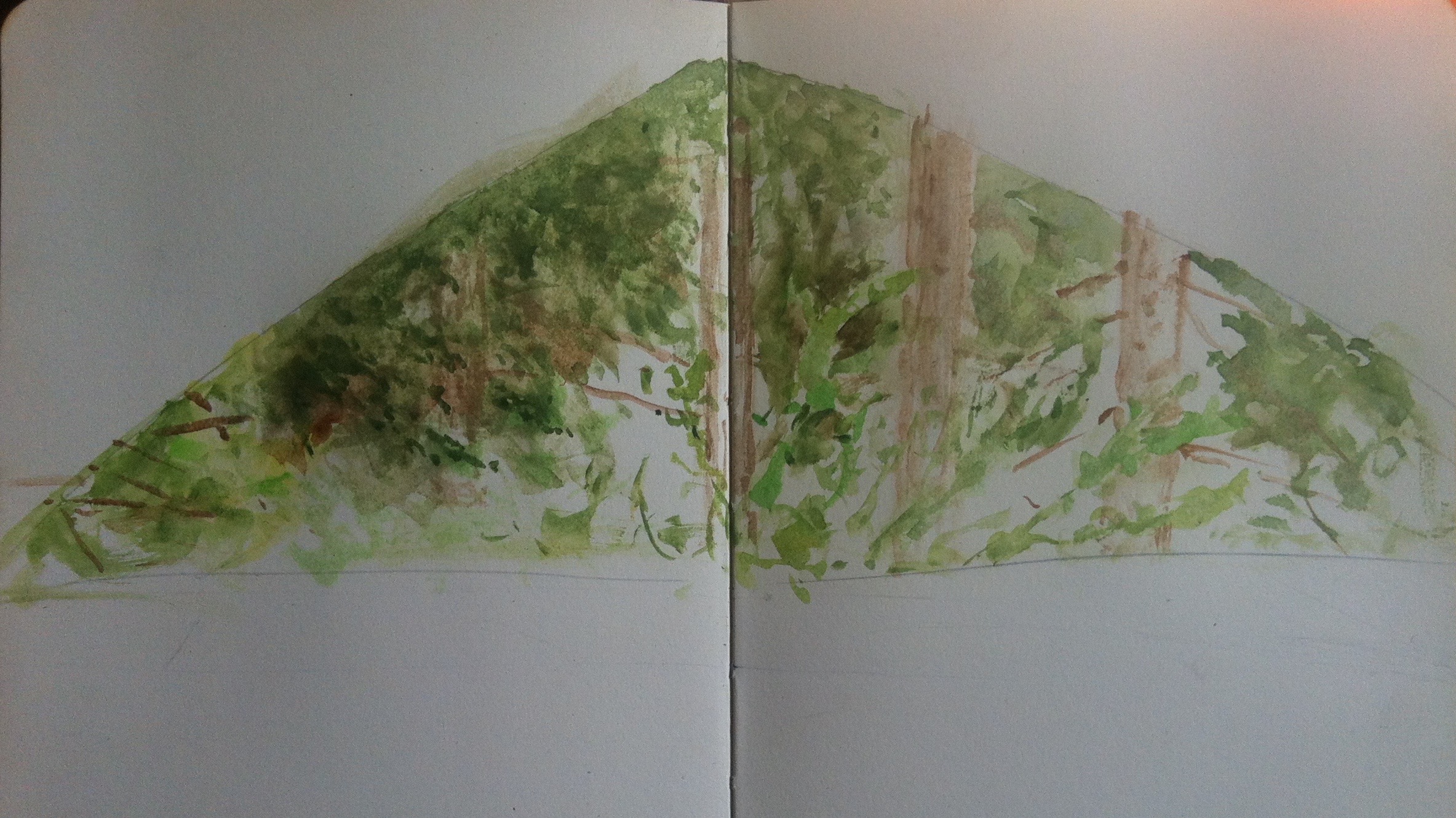 out my window 4.16.20