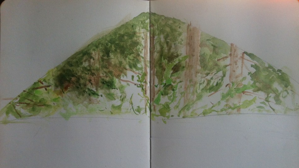 out my window 4.16.20